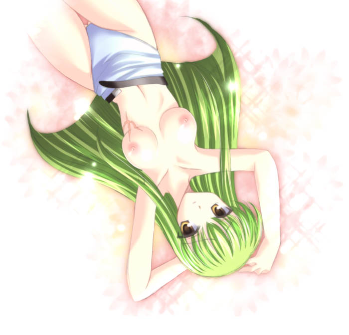 tamagawa yukimaru, c.c., code geass, 00s, 1girl, breasts, female focus, medium breasts, nipples, no bra, scar, solo