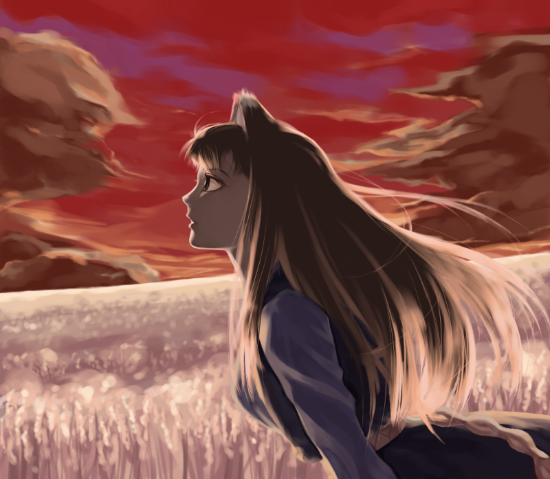 you2, holo, spice and wolf, 00s, 1girl, animal ears, female focus, outdoors, sky, solo, wolf ears