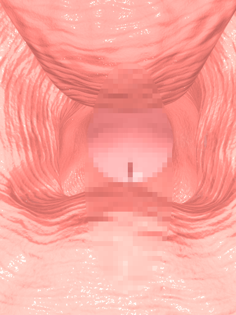 animated, animated gif, source request, 1boy, 1girl, 3d, censored, close-up, hetero, indoors, inside-view, penis, pointless censoring, pussy, sex, urethra, vaginal, wet