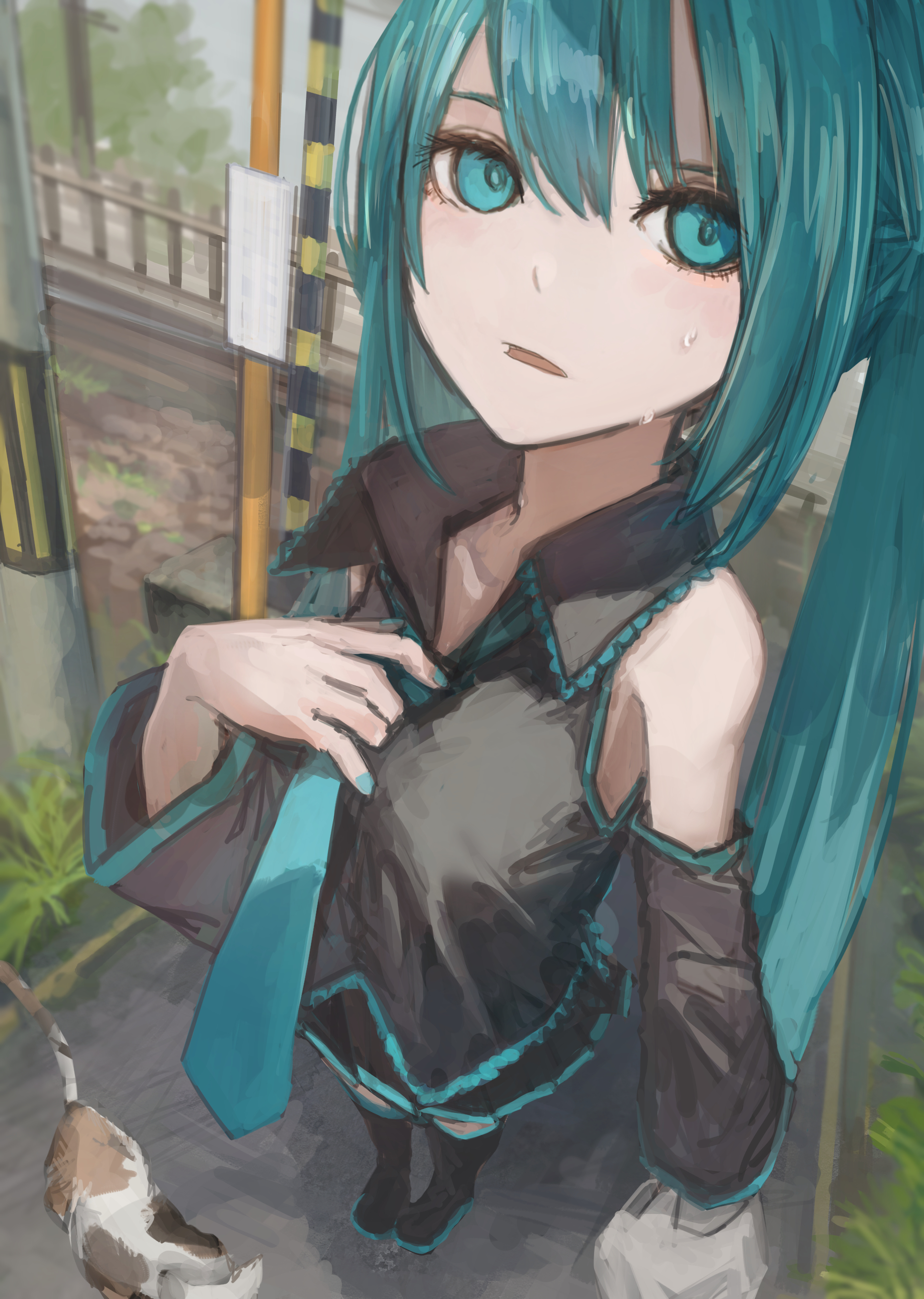 hashimoto kokai, hatsune miku, vocaloid, absurdres, highres, 1girl, animal, bag, blue eyes, blue hair, boots, cat, detached sleeves, foreshortening, from above, hot, long hair, necktie, outdoors, plastic bag, sleeveless, solo, sweat, thigh boots, twintails