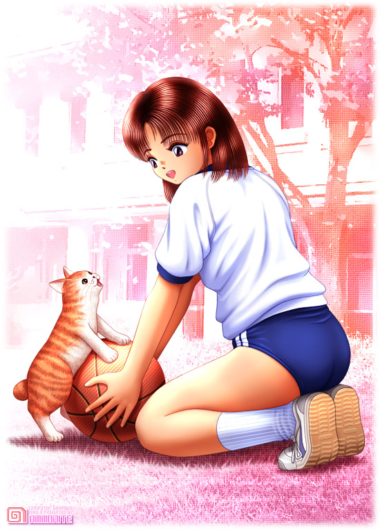 1girl, ball, basketball, basketball (object), buruma, cat, female focus, gym uniform, shoes, socks, solo, white shoes