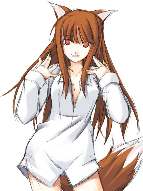 ribi, holo, spice and wolf, 00s, animal ears, sketch, solo, tail, wolf ears, wolf tail