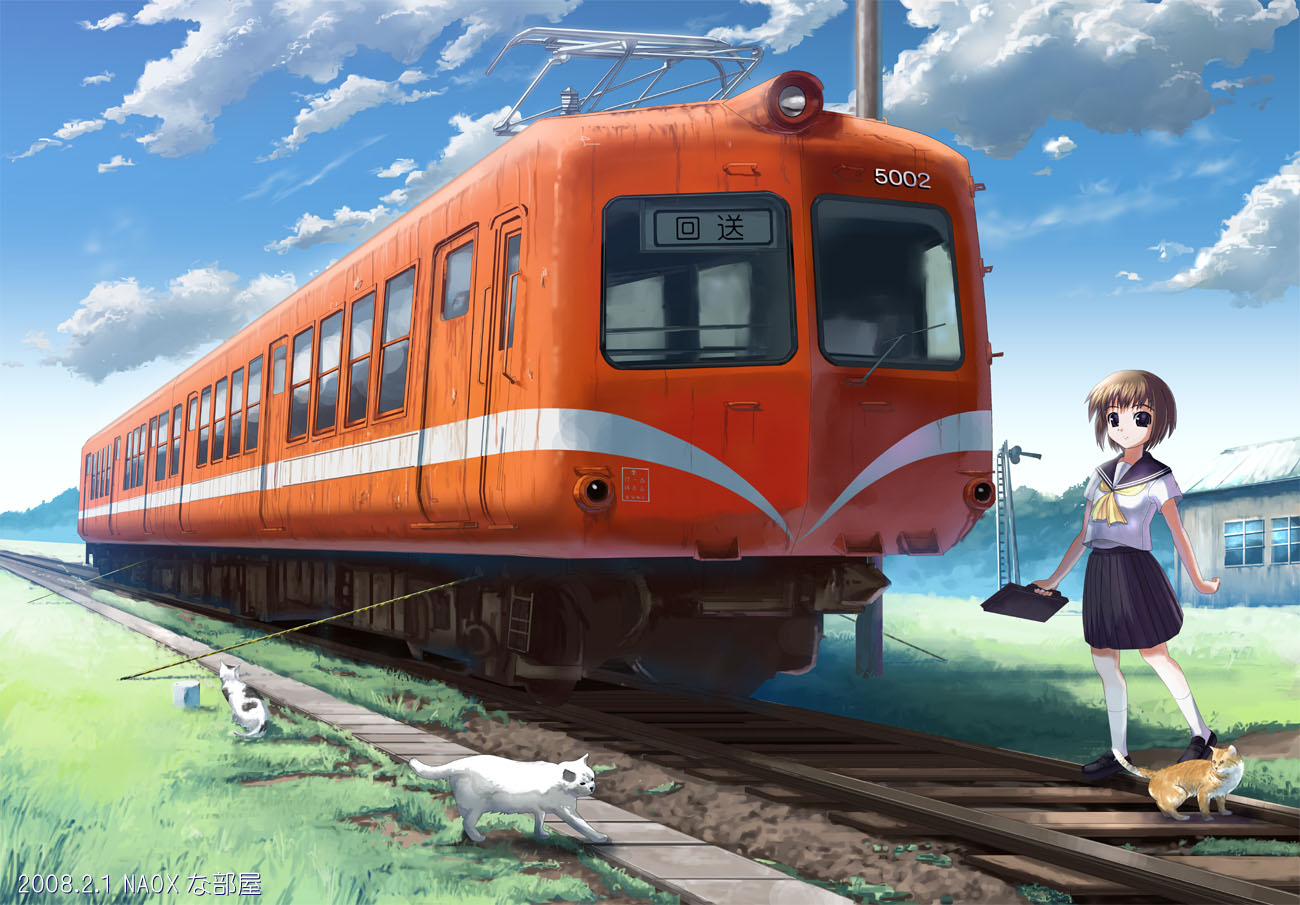 naox, original, brown hair, cat, multiple unit train, school uniform, serafuku, short hair, skirt, socks, solo, train