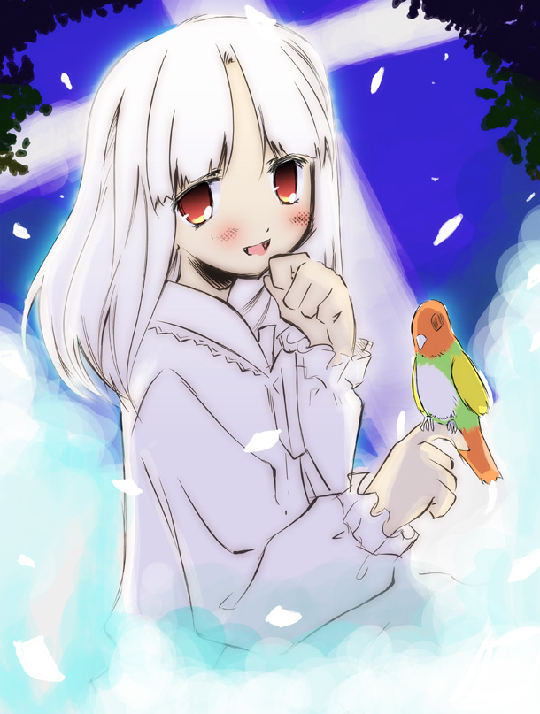 kamiya yuu, el (sound horizon), elysion, sound horizon, 1girl, albino, bird, bird on hand, female focus, long hair, red eyes, smile, solo, white hair