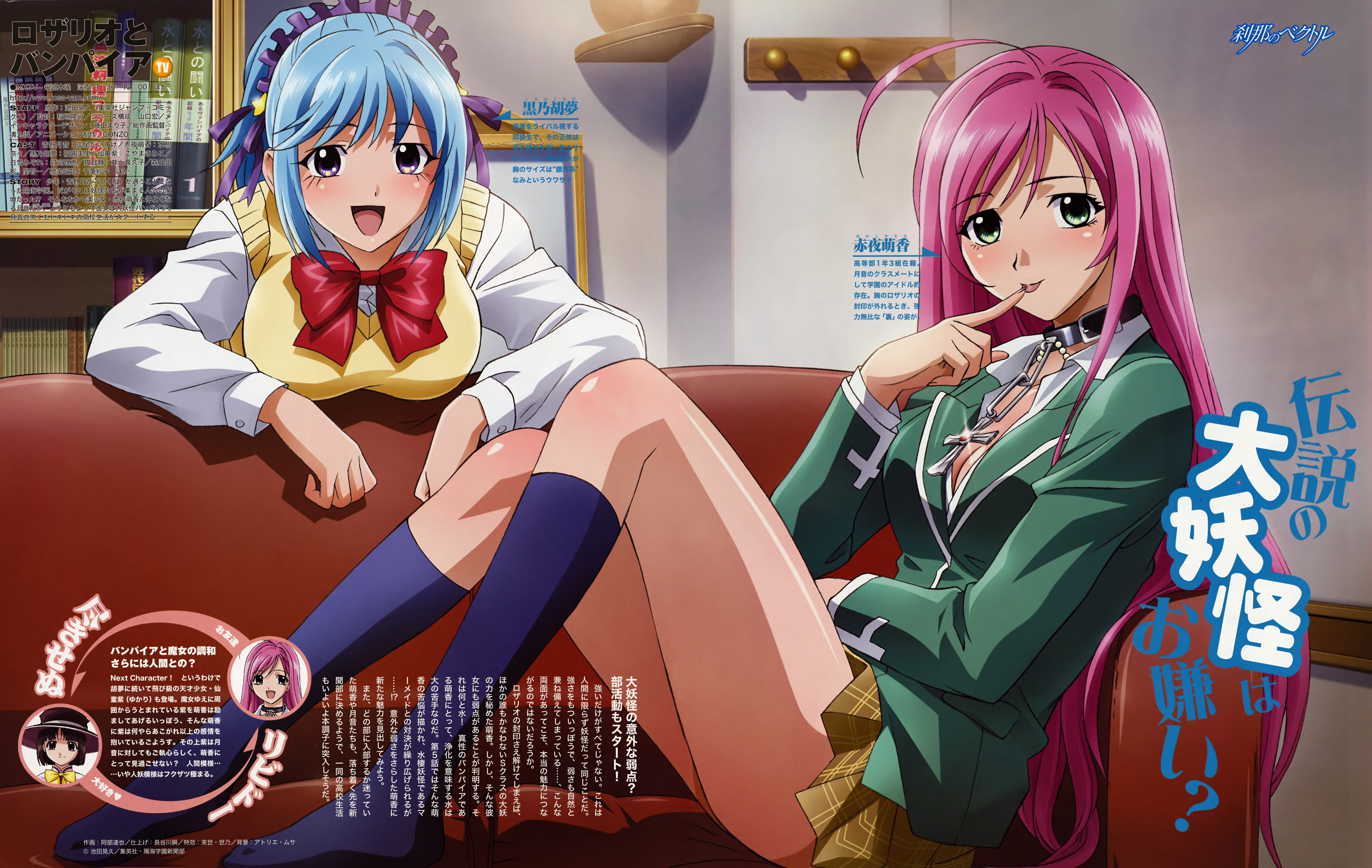akashiya moka, kurono kurumu, rosario+vampire, absurdres, highres, non-web source, official art, 00s, 2girls, ahoge, breasts, demon girl, green eyes, green shirt, hair ornament, large breasts, multiple girls, open mouth, purple eyes, school uniform, serafuku, shirt, sitting, skirt, sweater, thighhighs, vampire