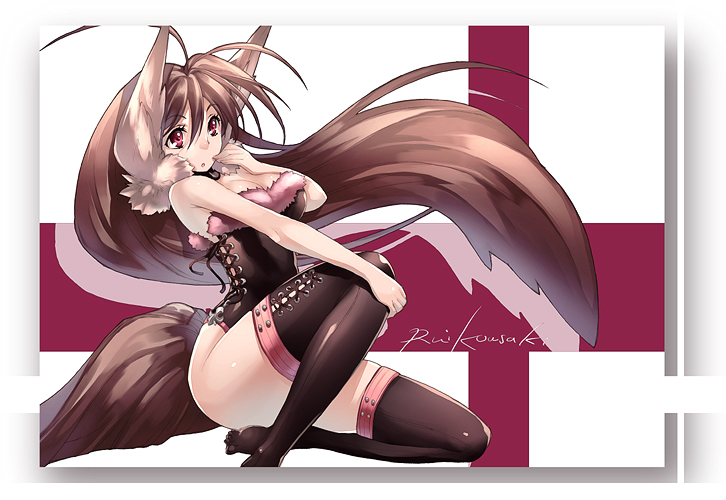 kousaki rui, original, tagme, animal ears, corset, solo, tail, thighhighs