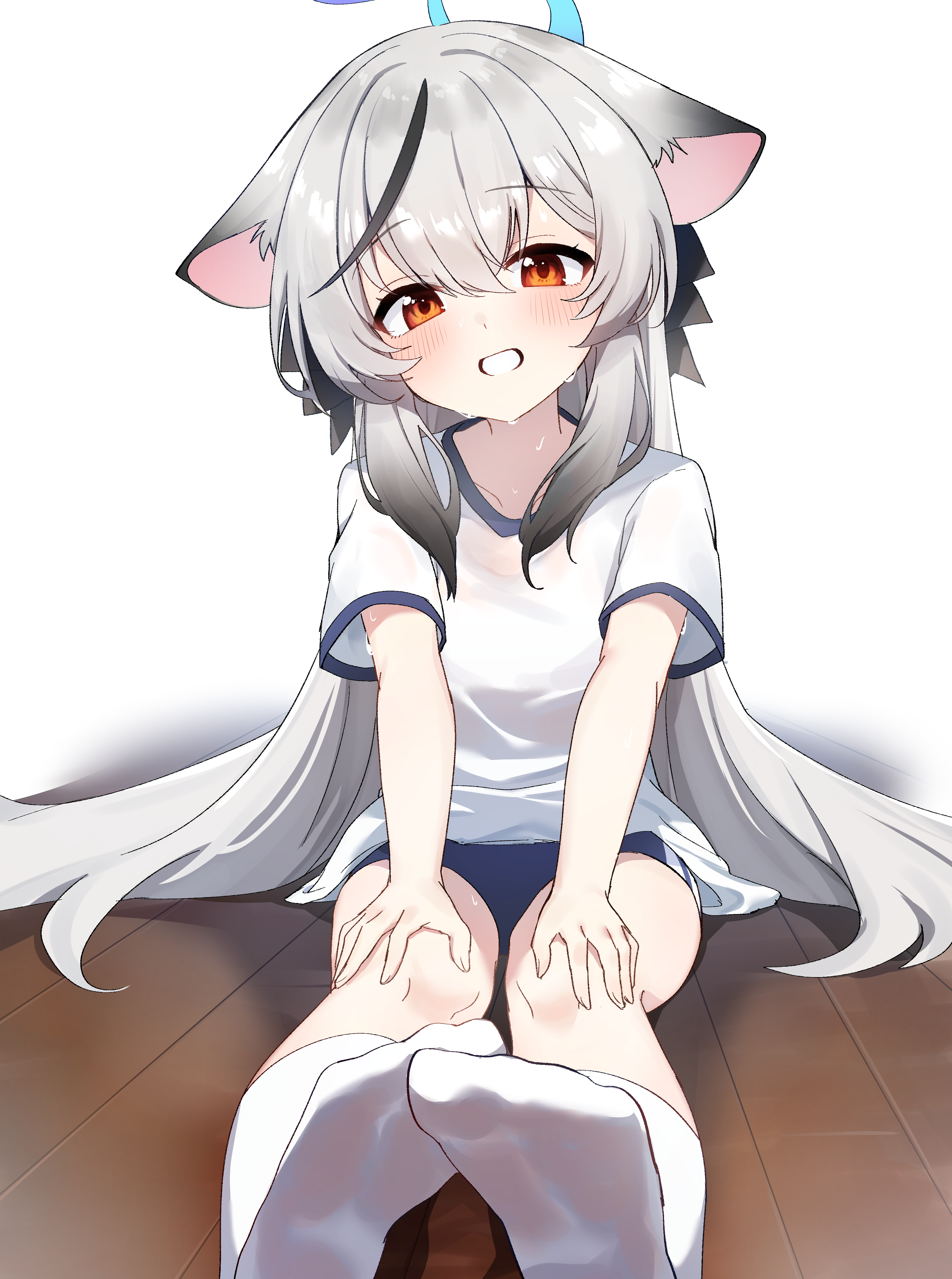 koroyarou, kokona (blue archive), blue archive, absurdres, commentary request, highres, 1girl, animal ears, black hair, buruma, grey hair, gym uniform, halo, long hair, looking at viewer, multicolored hair, shirt, smile, socks, solo, white shirt, white socks