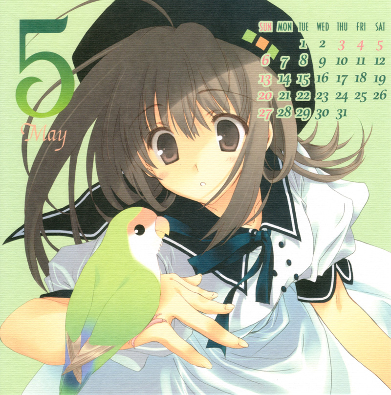 mitsumi misato, original, tagme, 00s, 2007, calendar, hat, solo