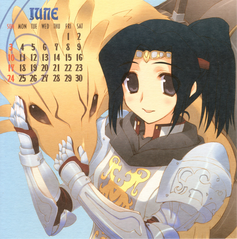 amazuyu tatsuki, chocobo, paladin (final fantasy), final fantasy, final fantasy xi, 00s, 1girl, 2007, armor, black hair, calendar, female focus, hume, paladin, solo