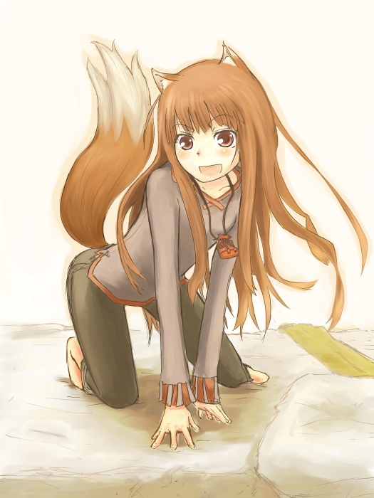 cocotetu, kokotetsu, holo, spice and wolf, 00s, animal ears, solo, tail, wolf ears, wolf tail