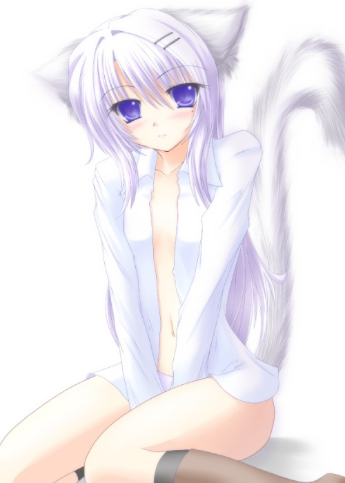 shirotsuki kouta, original, silver hair, 1girl, animal ears, blue eyes, blush, brown socks, cat ears, cat tail, collared shirt, dress shirt, female focus, kneehighs, long sleeves, looking at viewer, no bra, open clothes, open shirt, shirt, short hair, simple background, sitting, socks, solo, tail, wariza, white background