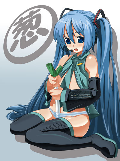 toudori, hatsune miku, vocaloid, 1girl, female focus, long hair, solo, spring onion, thighhighs, very long hair