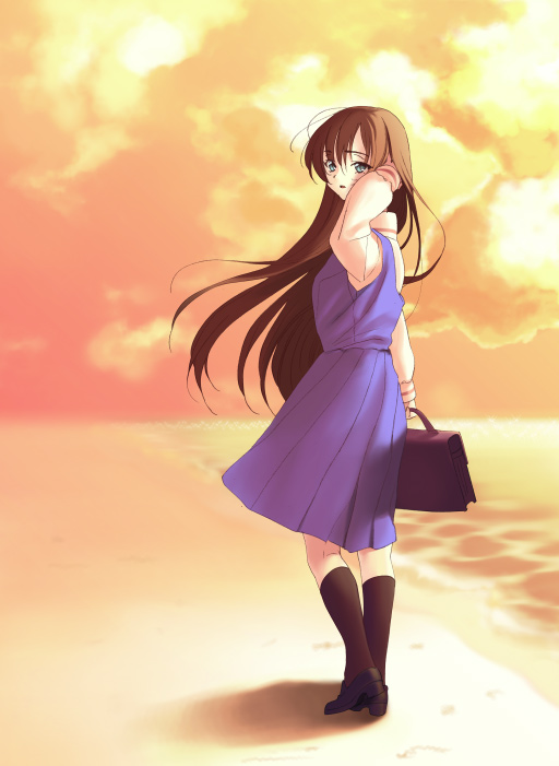 piyodera mucha, yuasa hiromi, true tears, 00s, beach, briefcase, day, outdoors, school briefcase, school uniform, serafuku, solo, standing, sunset