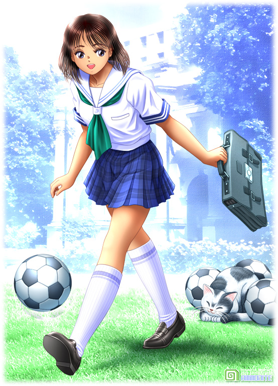 1girl, ball, cat, female focus, playing sports, school uniform, serafuku, soccer, soccer ball, solo, telstar