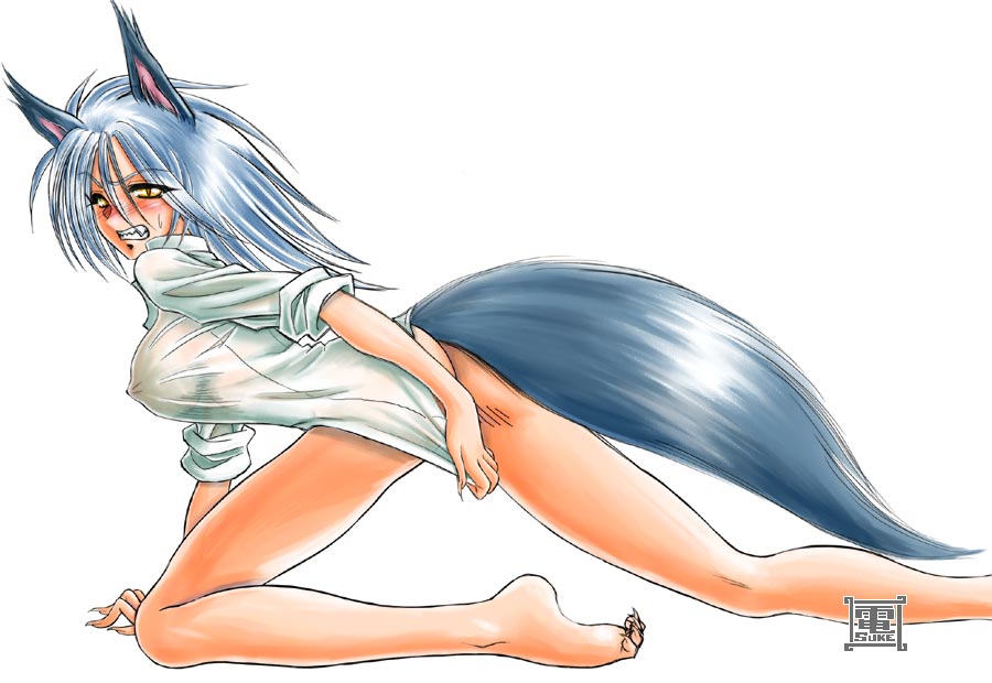 densuke (heppoko dou), jon talbain, capcom, darkstalkers, 1girl, animal ears, blush, breasts, covered erect nipples, covering ass, covering privates, dress shirt, female focus, genderswap, genderswap (mtf), large breasts, midnight bliss, see-through clothes, shirt, shirt tug, sleeves rolled up, solo, tail, wolf ears, yellow eyes