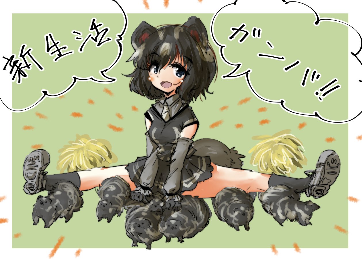 tikano, spotted skunk (kemono friends), kemono friends, commentary request, translation request, 1girl, :d, animal, animal ears, black eyes, black gloves, black hair, black shirt, black skirt, black socks, blush, border, detached sleeves, gloves, green background, grey shirt, grey shoes, grey sleeves, hair between eyes, hay, looking at viewer, multicolored hair, open mouth, shirt, shoe soles, shoes, short hair, sitting, skirt, skunk, skunk ears, skunk girl, skunk tail, smile, socks, solo, speech bubble, spread legs, tail, teeth, two-tone hair, undershirt, upper teeth only, white border, white hair
