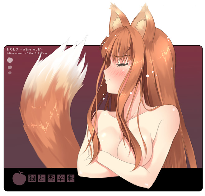 kantoku, holo, spice and wolf, 00s, 1girl, animal ears, blush, breasts, cleavage, closed eyes, female focus, medium breasts, nude, solo, tail, topless frame, upper body, wolf ears, wolf tail