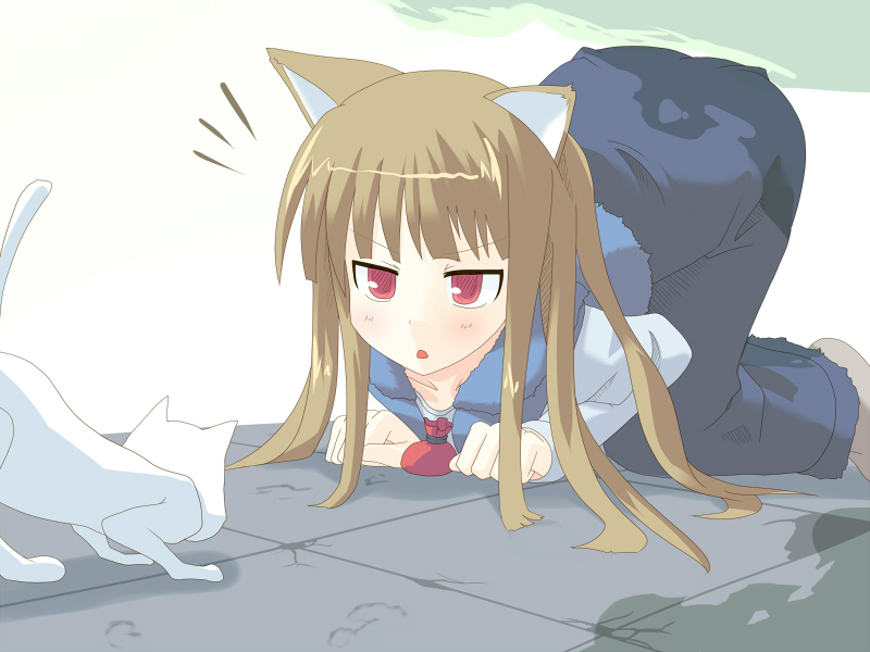 hujikok, holo, original, spice and wolf, 00s, 1girl, all fours, animal ears, brown hair, cat, cat ears, female focus, long hair, outdoors, red eyes, school uniform, solo, wolf ears