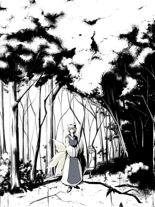 kajiki, yakumo ran, touhou, 1girl, animal ears, animal hat, female focus, forest, fox ears, fox tail, greyscale, hands in opposite sleeves, hat, long sleeves, looking at viewer, mob cap, monochrome, multiple tails, nature, plant, shoes, short hair, solo, standing, tabard, tail, wide sleeves