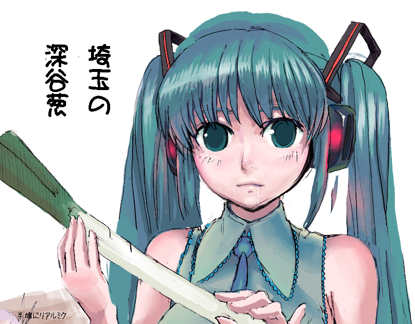 sasaki toshiyuki, tosiyuki, hatsune miku, vocaloid, 1girl, aqua hair, female focus, solo, spring onion, twintails