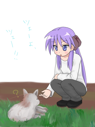 mountain pukuichi, hiiragi kagami, kagamin bocchi, lucky star, 00s, 1girl, blue eyes, cat, female focus, long hair, solo