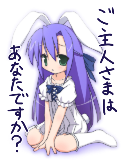 ginga nakajima, lyrical nanoha, mahou shoujo lyrical nanoha, mahou shoujo lyrical nanoha strikers, translated, 00s, animal ears, rabbit ears, solo