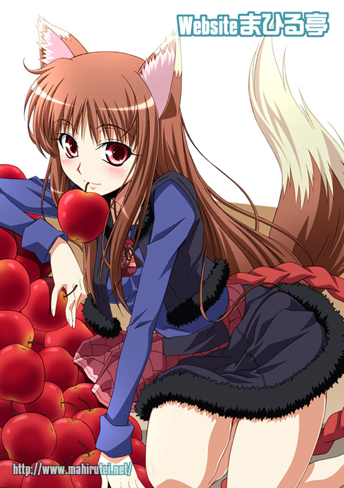 izumi mahiru, holo, spice and wolf, 00s, animal ears, apple, brown hair, food, fruit, long hair, mouth hold, red eyes, solo, tail, wolf ears, wolf tail