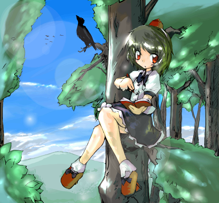 neki-t, shameimaru aya, touhou, 1girl, bird, book, female focus, geta, hat, in tree, landscape, looking at viewer, oekaki, sitting, sitting in tree, solo, tengu-geta, tree