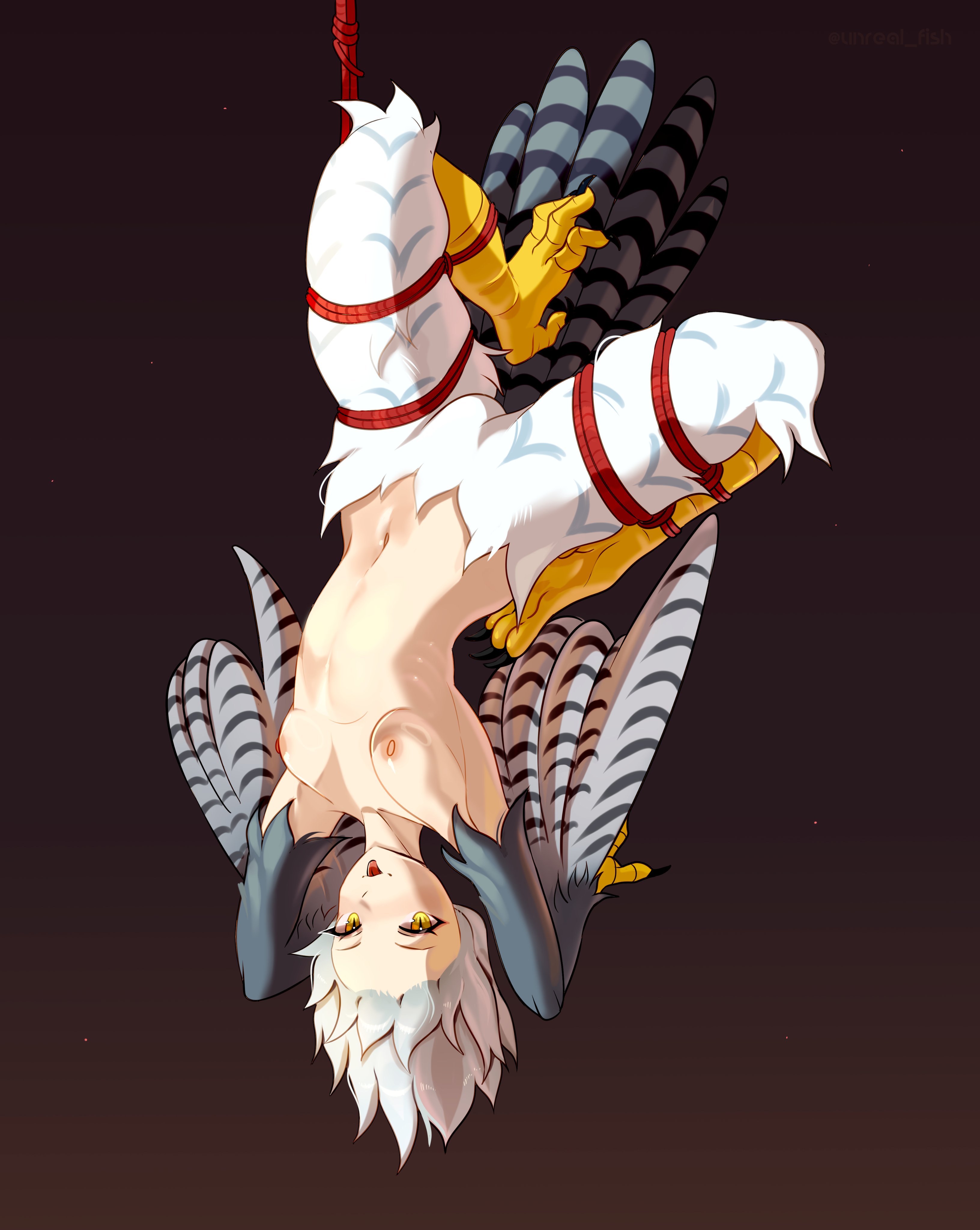 unreal fish, original, absurdres, commentary, english commentary, highres, 1girl, animal hands, bird legs, bird tail, breasts, chicken girl, claws, feathered wings, feathers, grey hair, harpy, monster girl, navel, nipples, nude, shibari, small breasts, solo, tail, talons, tongue, tongue out, upside-down, white feathers, winged arms, wings, yellow eyes