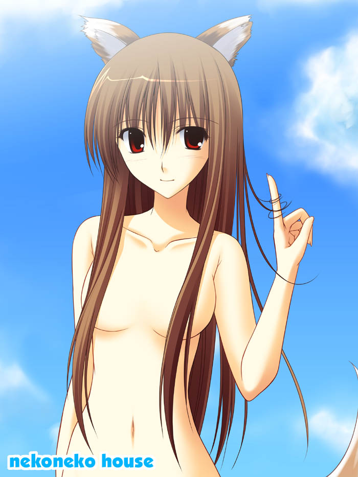 takepon, holo, spice and wolf, 00s, animal ears, cloud, day, nude, outdoors, sky, solo, wolf ears, zenra