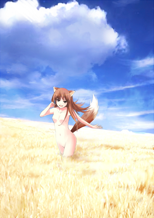 wander (artist), wander (cordabyss), holo, spice and wolf, 00s, 1girl, :d, animal ears, blue sky, blush, breasts, brown eyes, brown hair, cloud, collarbone, day, female focus, field, long hair, looking at viewer, medium breasts, navel, no nipples, nude, open mouth, outdoors, running, sky, smile, solo, stomach, straw (stalk), tail, wolf ears, wolf tail