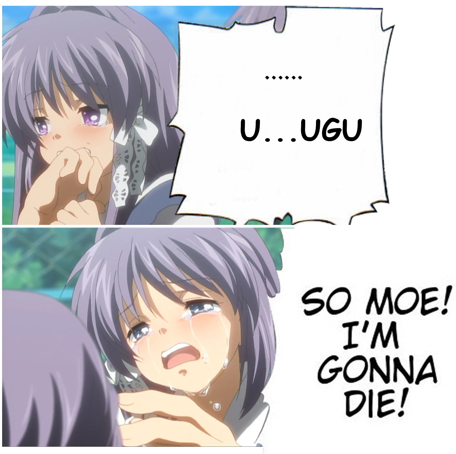 fujibayashi kyou, fujibayashi ryou, clannad, highres, tagme, 00s, 2girls, multiple girls, open mouth, sisters, tears, twins, what