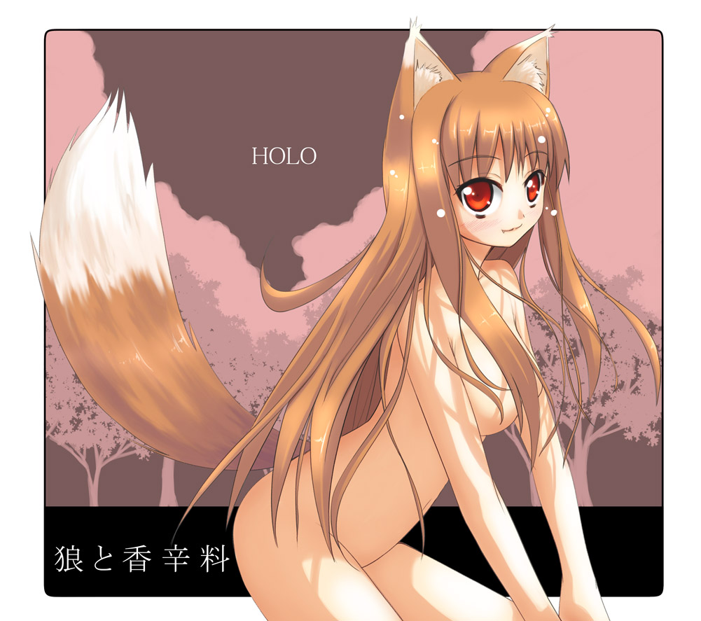 akino sora, holo, spice and wolf, 00s, animal ears, brown hair, fang, long hair, nude, red eyes, solo, tail, wolf ears, wolf tail