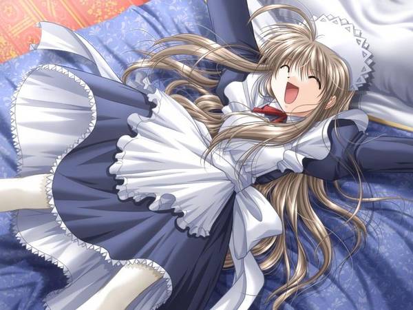tagme, brown hair, long hair, maid, smile