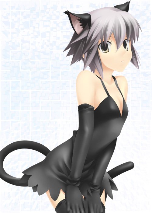 mizuki makoto, nagato yuki, suzumiya haruhi no yuuutsu, 00s, animal ears, cat ears, cat tail, elbow gloves, flat chest, gloves, solo, tail, thighhighs