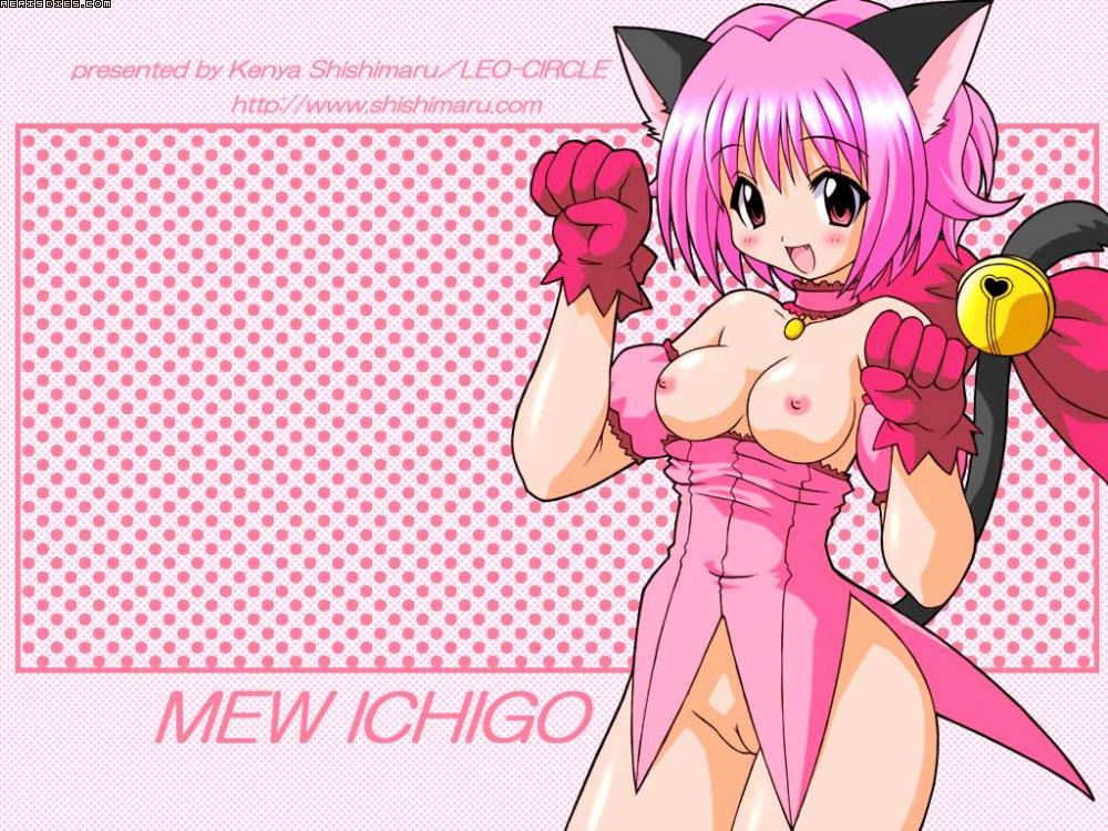 shishimaru ken'ya, tokyo mew mew, 00s, 1girl, breasts, nipples, pussy, solo, uncensored