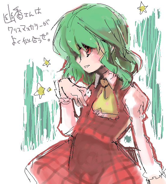 kazami yuuka, touhou, 1girl, ascot, female focus, green hair, plaid clothes, plaid skirt, plaid vest, profile, red eyes, short hair, skirt, skirt set, solo, star (symbol), vest