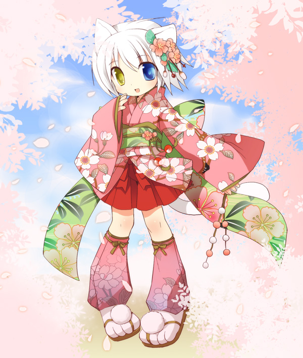 kamiyoshi rika, thoto, original, 1boy, animal ears, cat boy, cat ears, cherry blossoms, flower, heterochromia, japanese clothes, kimono, male focus, solo, trap, white hair