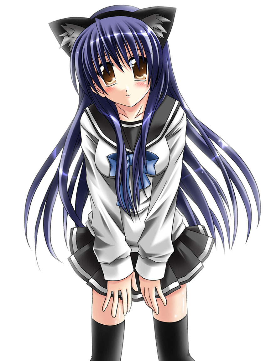 otoki raku, original, animal ears, blue hair, blush, cat ears, long hair, school uniform, serafuku, skirt, solo, thighhighs, zettai ryouiki