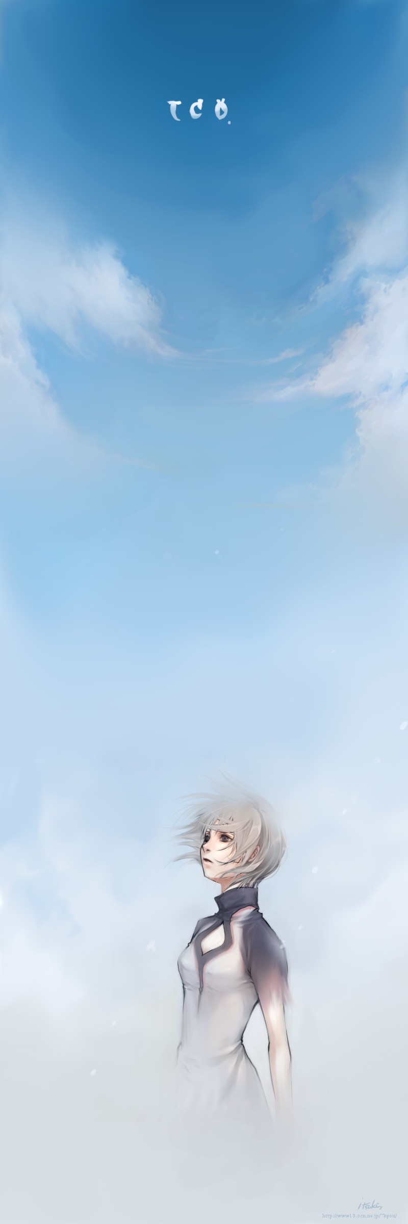 itsuki (artist), itsuki (lqs), yorda, ico, absurdres, bad id, bad pixiv id, highres, long image, painttool sai (medium), tall image, 1girl, female focus, sky, solo