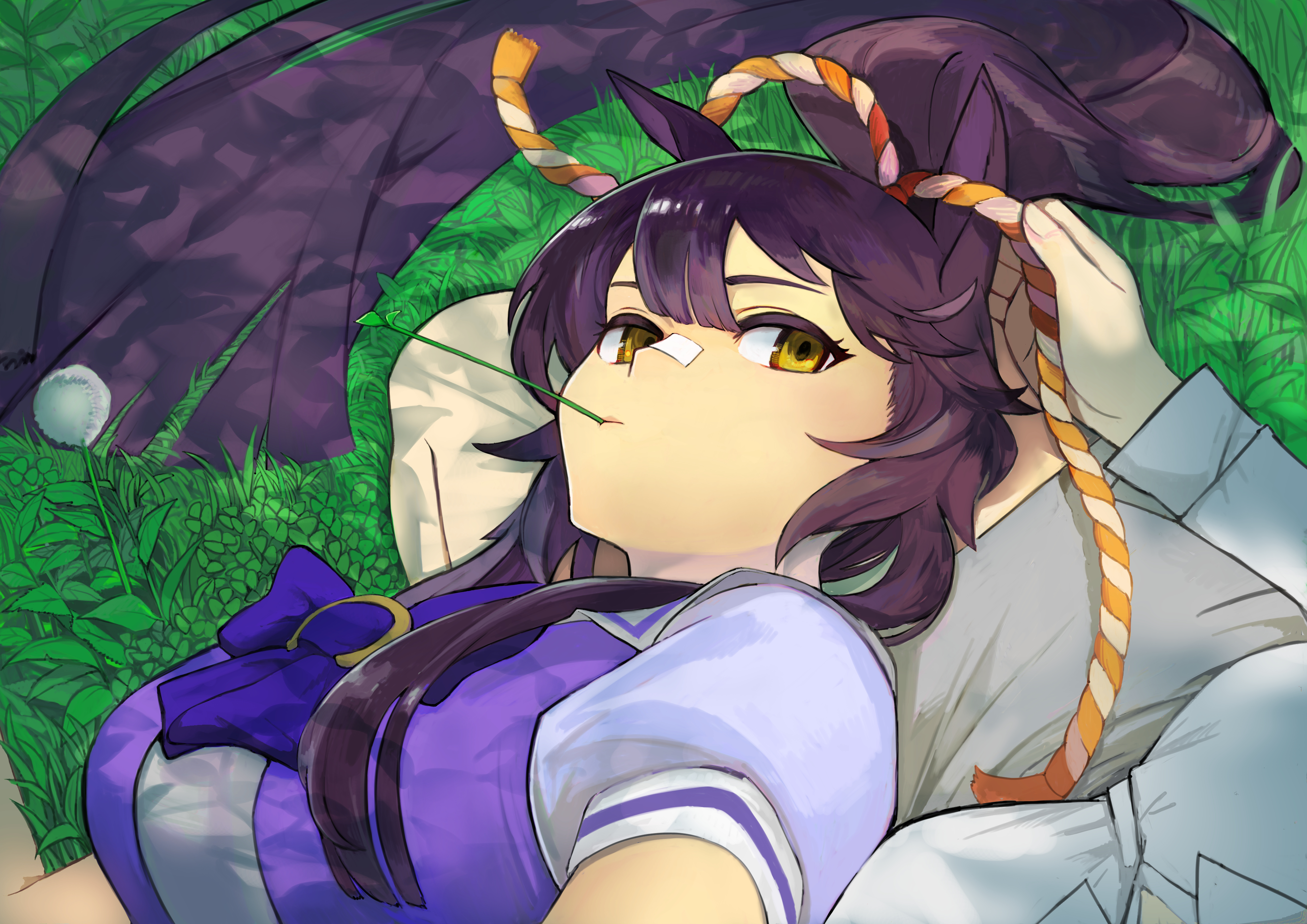 female trainer (umamusume), narita brian (umamusume), trainer (umamusume), umamusume, absurdres, highres, 2girls, animal ears, bandaid, bandaid on face, bandaid on nose, black hair, breasts, day, female pov, grass, horse ears, horse girl, lap pillow, large breasts, long hair, looking at viewer, mouth hold, multiple girls, outdoors, pov, rope, school uniform, shimenawa, shiotansushi, stalk in mouth, tracen school uniform, yellow eyes, yuri
