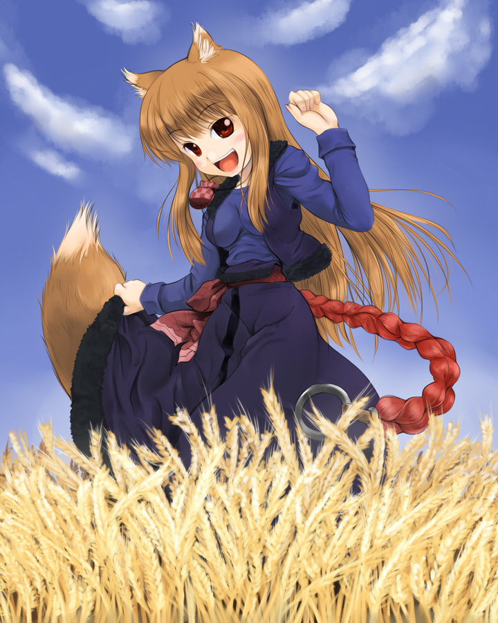 nekohane ryou, holo, spice and wolf, 00s, animal ears, brown hair, long hair, red eyes, solo, tail, wheat, wolf ears, wolf tail