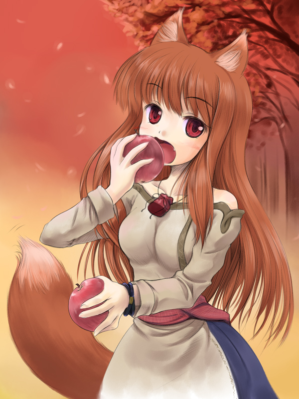nekohane ryou, holo, spice and wolf, 00s, 1girl, animal ears, apple, brown hair, eating, fang, female focus, food, fruit, holding, holding food, holding fruit, long hair, pouch, red eyes, red sky, sky, solo, tail, wolf ears, wolf tail