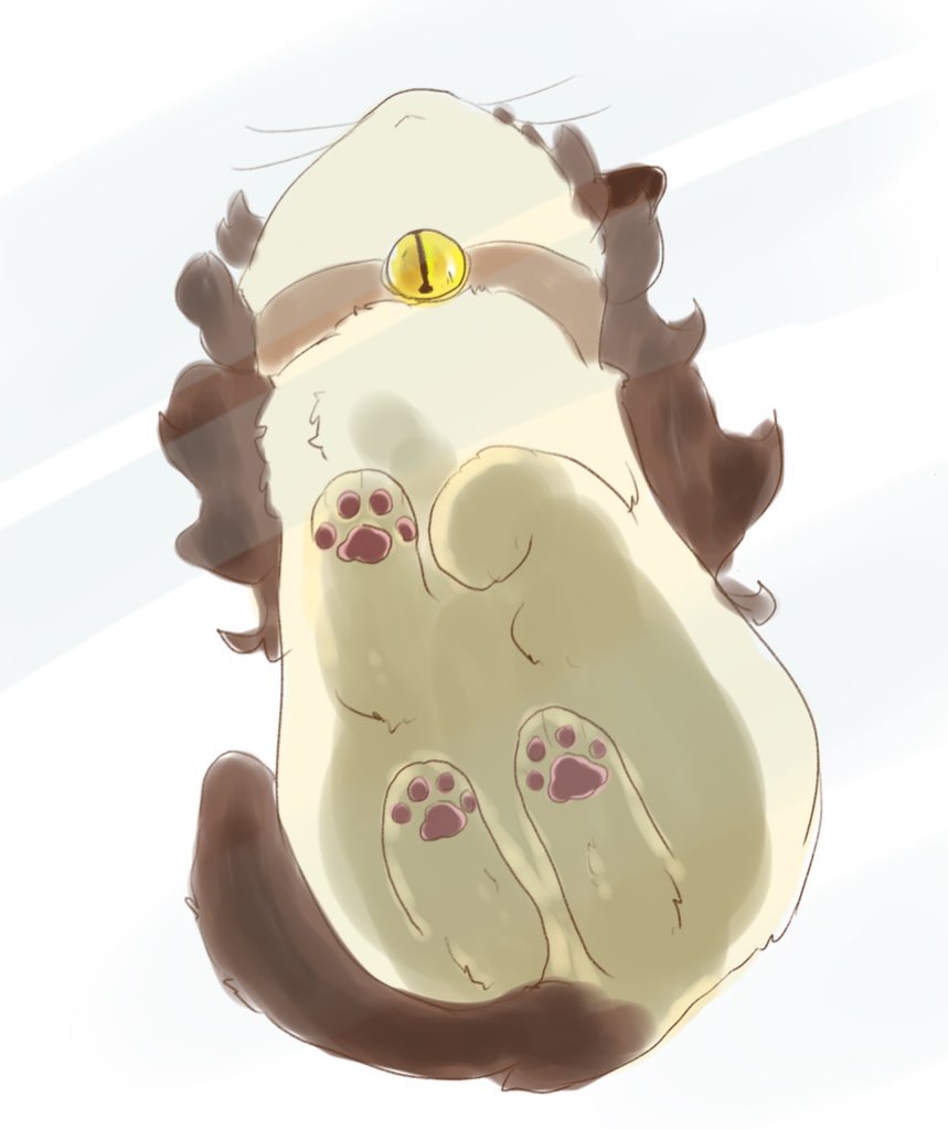 hutaba, kitazawa shiho, idolmaster, idolmaster million live!, animal, animal collar, animal focus, animalization, bell, brown collar, brown hair, cat, closed mouth, collar, from below, full body, neck bell, no humans, pawpads, solo