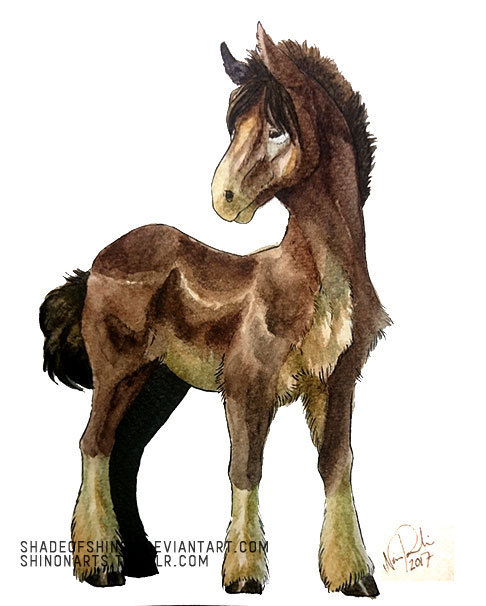 shadeofshinon, mudbray, nintendo, pokemon, dated, deviantart username, donkey, full body, gen 7 pokemon, no humans, pokemon (creature), solo, watermark, web address