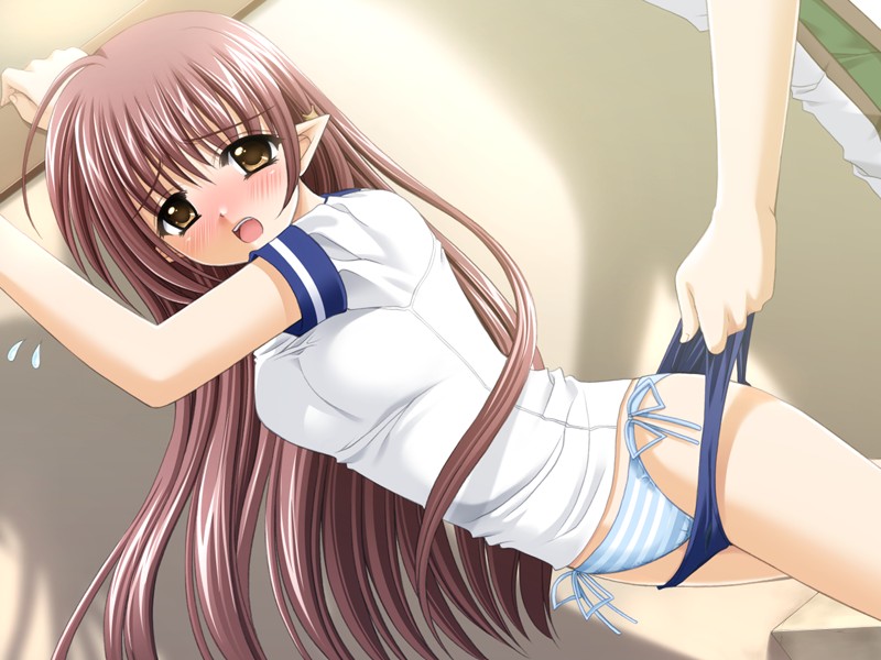 nishimata aoi, lisianthus, rico, shuffle!, game cg, official art, 00s, 1girl, blush, brown eyes, brown hair, buruma, buruma pull, clothes pull, female focus, gym uniform, panties, pointy ears, pulling another's clothes, school uniform, solo, striped clothes, striped panties, underwear, undressing
