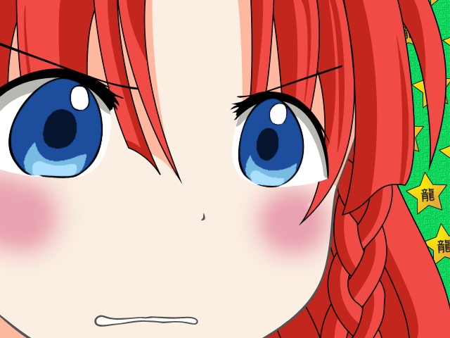 hong meiling, embodiment of scarlet devil, touhou, 1girl, blue eyes, braid, female focus, gununu (meme), meme, red hair, solo