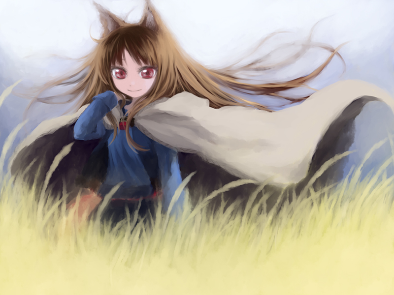 iseki, iseki (kuroshura no tabiji), iseki (otameshi), holo, spice and wolf, 00s, animal ears, brown hair, cloak, solo, standing, tail, wheat, wolf ears, wolf tail