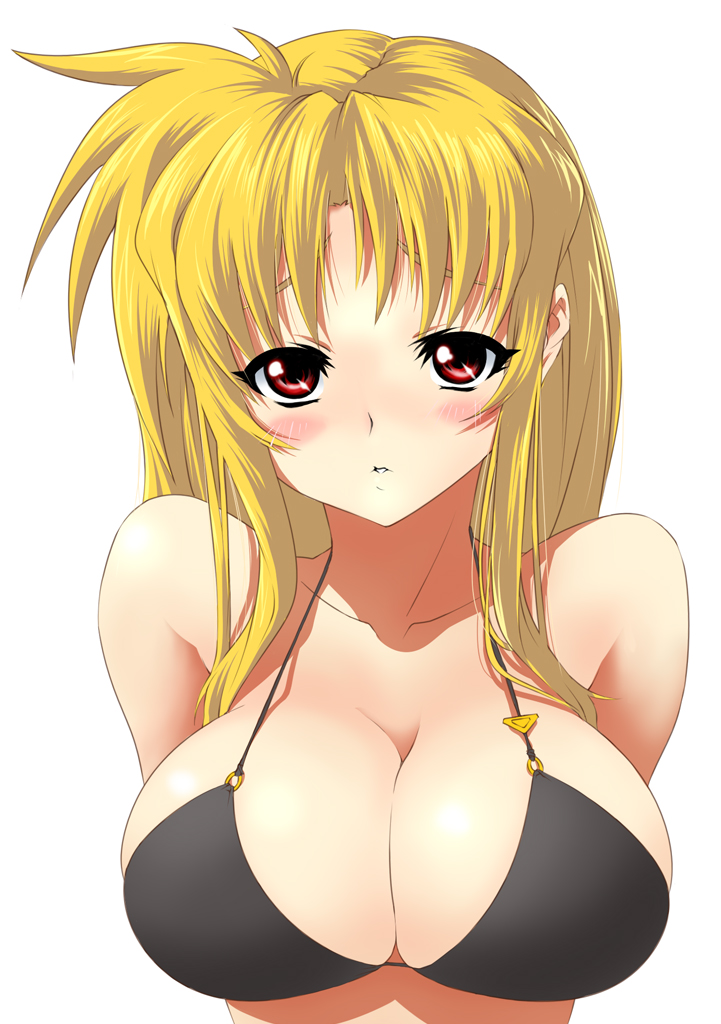 nekomamire, fate testarossa, lyrical nanoha, mahou shoujo lyrical nanoha, mahou shoujo lyrical nanoha strikers, 00s, 1girl, bikini, black bikini, blonde hair, blush, breasts, cleavage, female focus, huge breasts, long hair, red eyes, solo, swimsuit