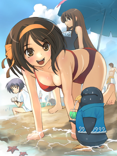hirokiku, asahina mikuru, nagato yuki, suzumiya haruhi, suzumiya haruhi no yuuutsu, 00s, 3girls, all fours, barefoot, bikini, bird, day, multiple girls, one-piece swimsuit, penguin, school swimsuit, swimsuit